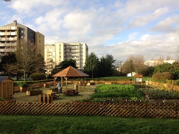 Création d'un jardin partagé à Boissy Saint Léger(94)